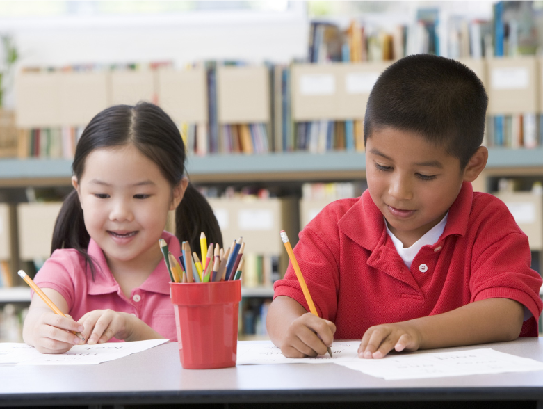 The Importance of Early Learning in Literacy and Numeracy: Insights from the TIMSS Study